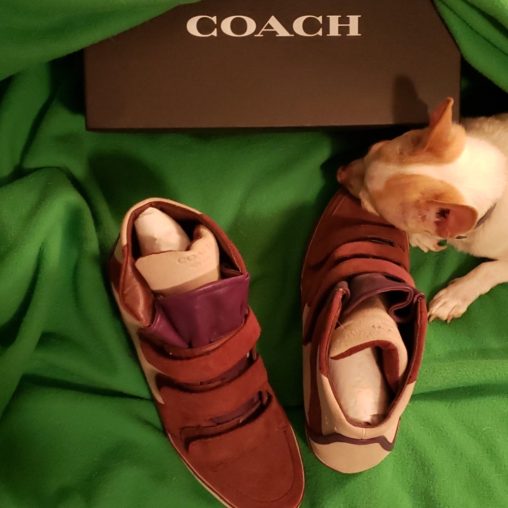 Coach high tops